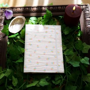 Protège carnet de santé - Glace