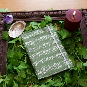 Protège carnet de santé - Zèbre