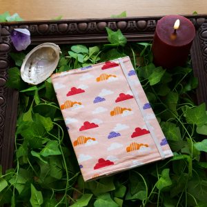 Protège carnet de santé - Nuages