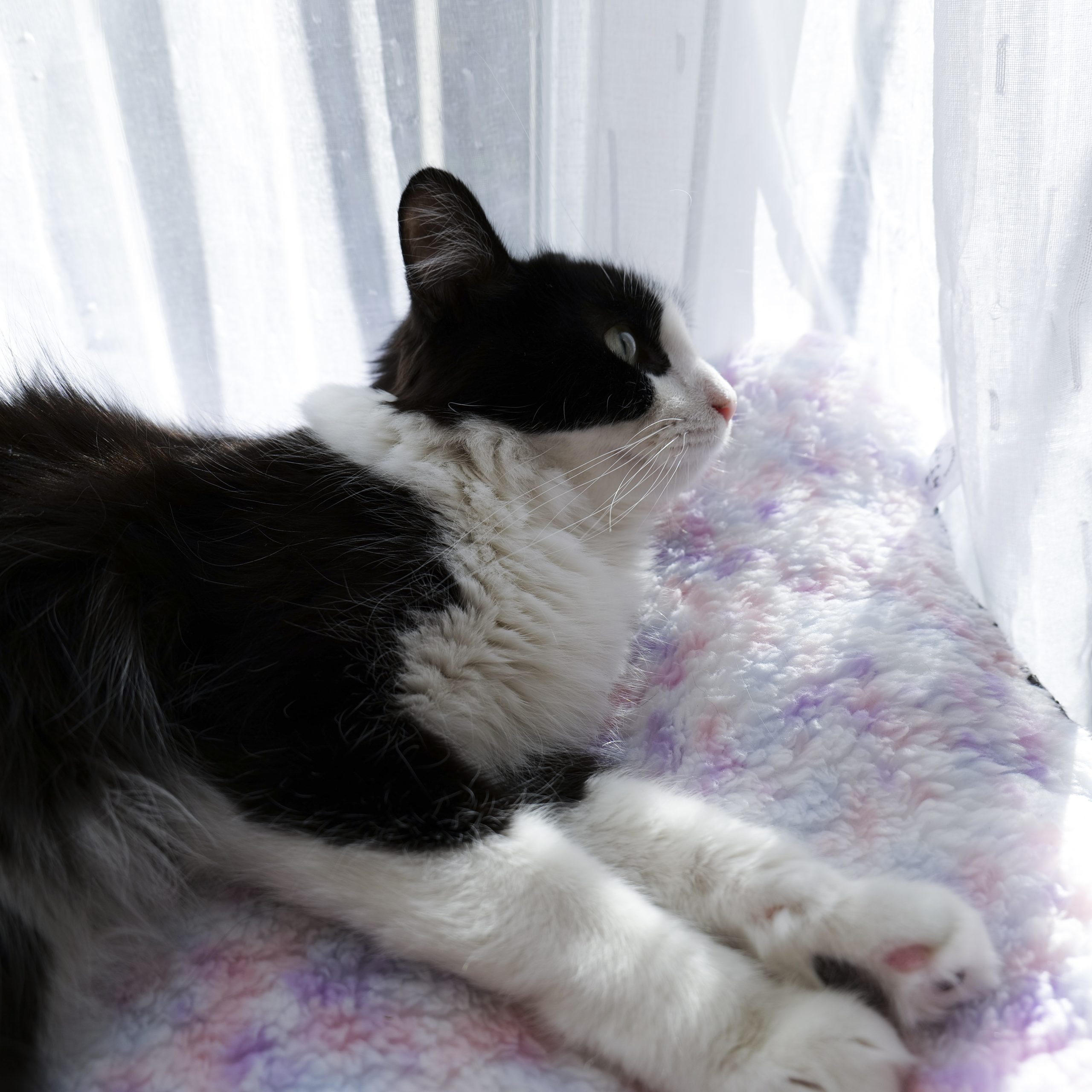 les tapis nuage antidérapants ☁️