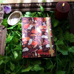 Protège carnet de santé velours - Souris