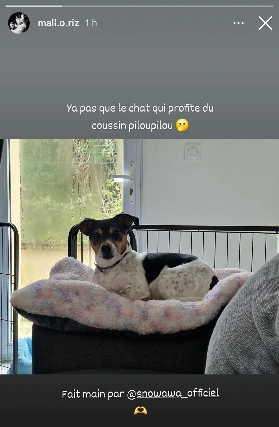 retour-tapis-nuage-antiderapants
