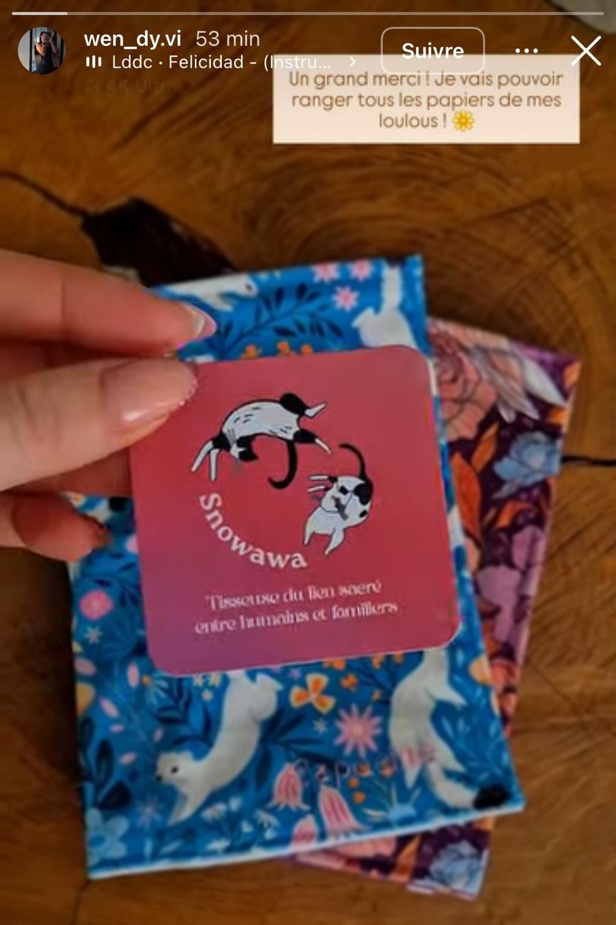 retour-protege-carnet-de-sante-pour-animaux