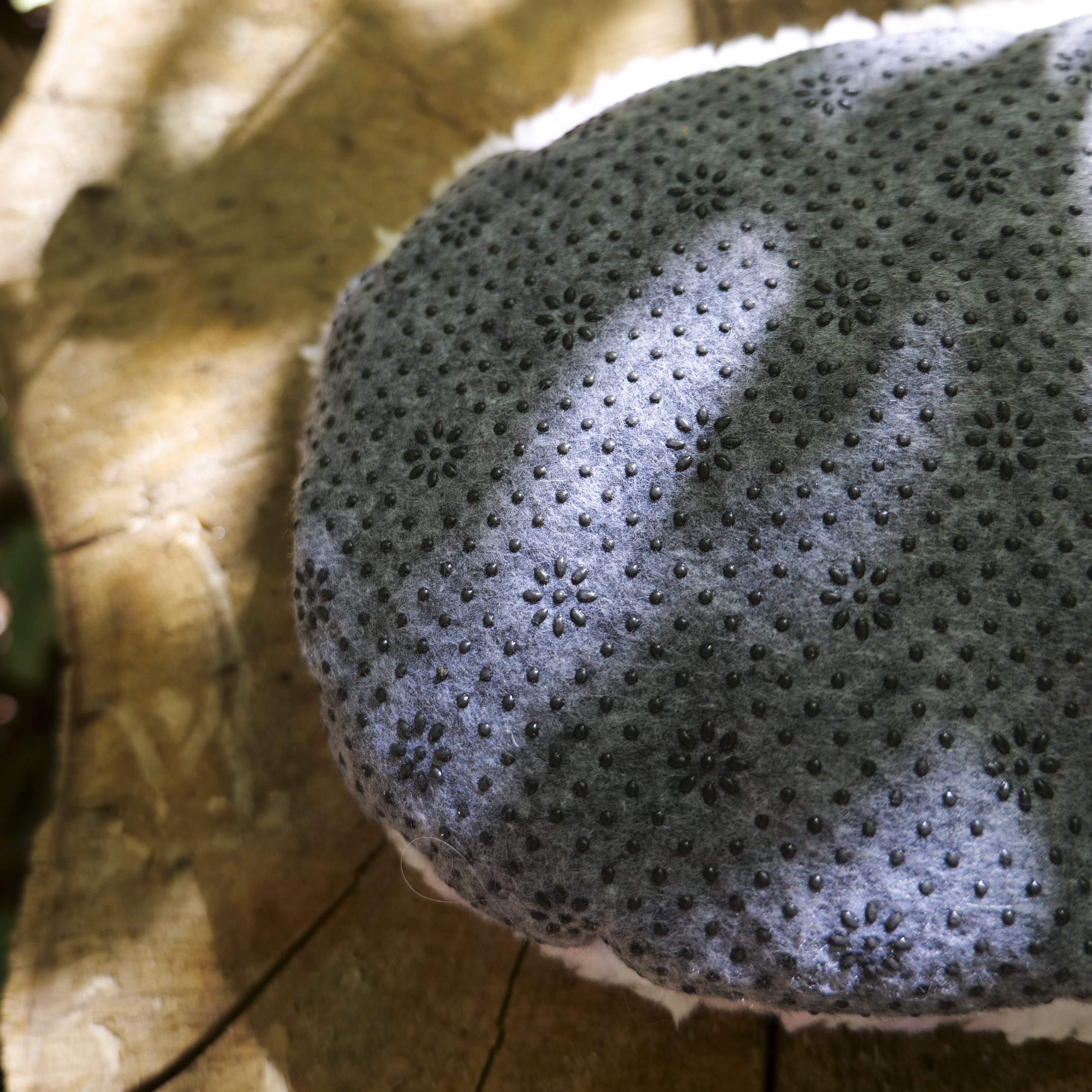 Coussin antidérapant - Pillow – Image 6