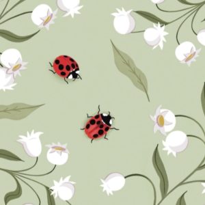 coccinelle