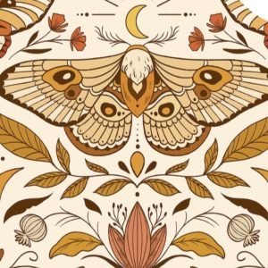 papillon-de-nuit
